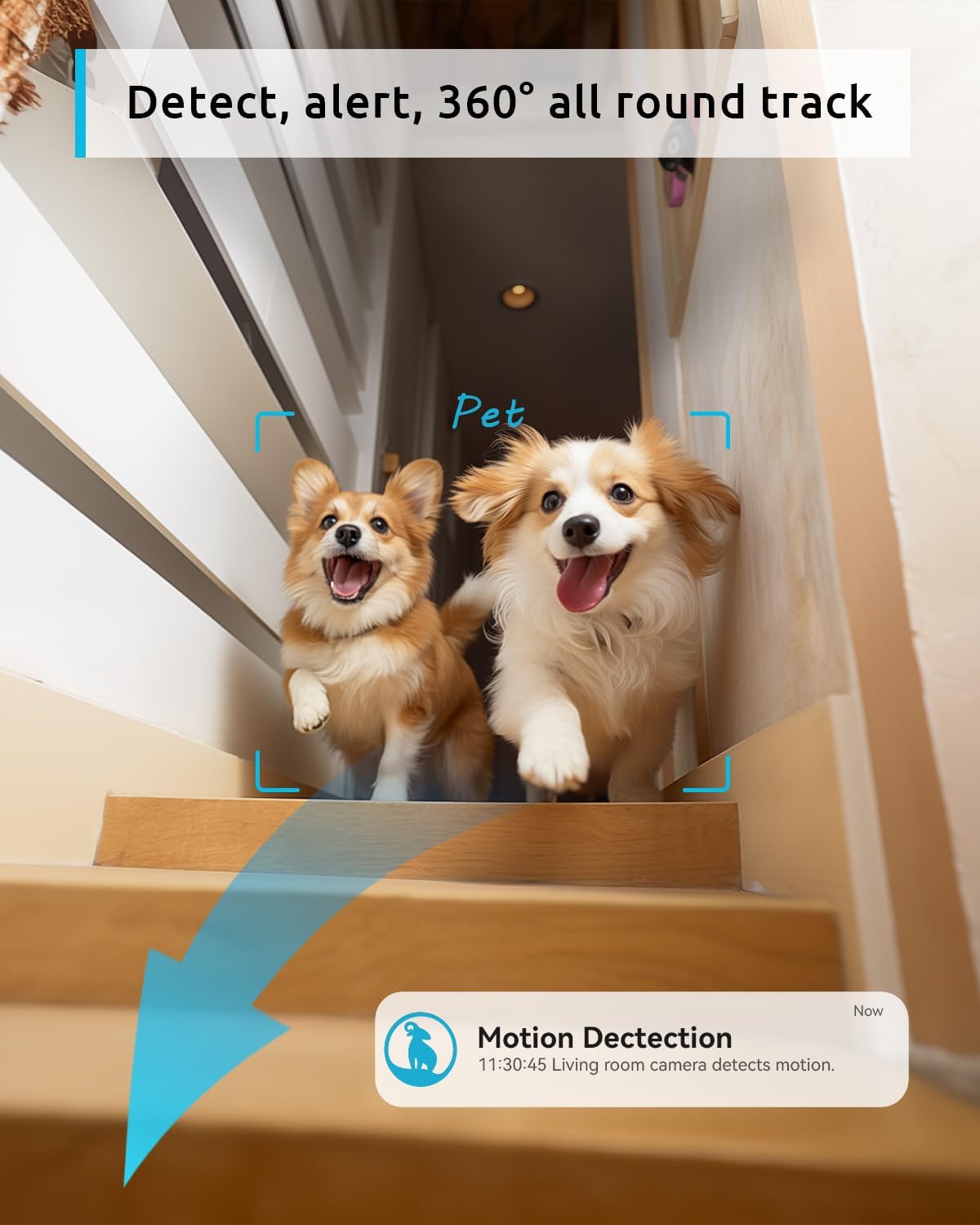 Blurams Indoor Camera 2K, Security Camera, 360° Pet Camera for Home (OPEN BOX)