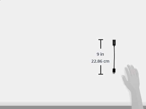 Displayport (4K@60Hz) to HDMI Female Converter (Not Compatible with a USB Port)